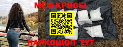стафф Заводоуковск